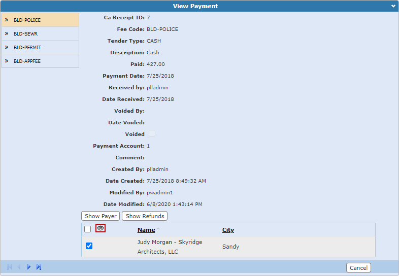 View Payer Information on a Payment